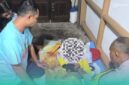 Penampakan korban saat setelah dievakuasi oleh pihak kepolisian dan warga setempat (Foto: Febri). 