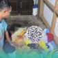Penampakan korban saat setelah dievakuasi oleh pihak kepolisian dan warga setempat (Foto: Febri). 