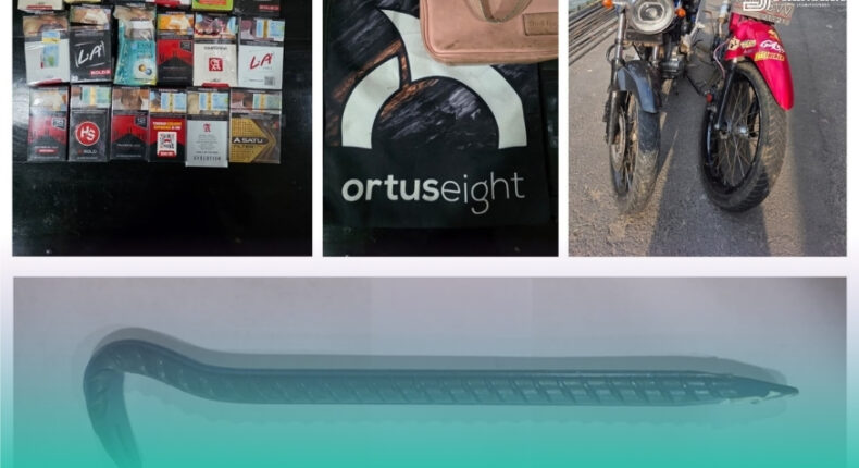 foto slider headline