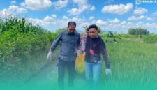 Gambar Perempuan Lansia 66 Tahun Ditemukan Meninggal di Parit Persawahan Tegalsari Banyuwangi(Sumber: Istimewa)