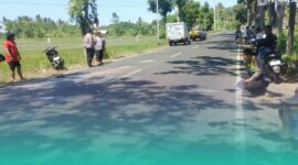Gambar Petugas SPPG Tewas! Mobil Operasional MBG Hantam Truk Muatan Tepung  (Sumber: Istimewa)