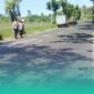 Gambar Petugas SPPG Tewas! Mobil Operasional MBG Hantam Truk Muatan Tepung  (Sumber: Istimewa)