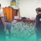 Gambar Polda Babel dan Satlap Tricakti Gagalkan Penyelundupan 1,6 Ton Timah Illegal di Belitung(Sumber: Istimewa)