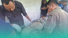 Gambar Lansia 78 Tahun Ditemukan Meninggal Dalam Sumur di Gambiran Banyuwangi (Sumber: Istimewa)