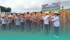 Gambar Panen 80 Ton Benih Bhayangkara, Polda Jatim Dukung Asta Cita Prabowo Gibran (Sumber: Isitimewa)