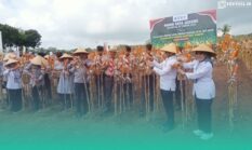 Panen 80 Ton Benih Bhayangkara, Polda Jatim Dukung Asta Cita Prabowo Gibran
