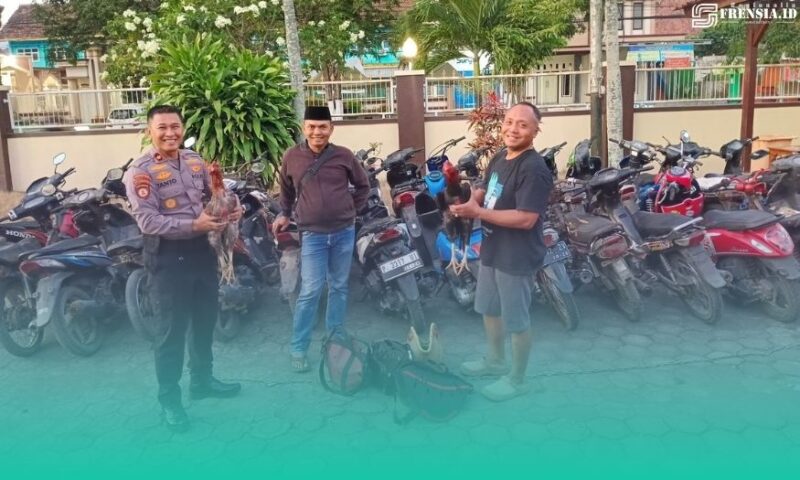 Gambar Polisi Gerebek diduga Tempat Sabung Ayam di Muncar, 31 Motor Diamankan (Sumber: Istimewa)
