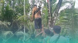 Gambar Pria 29 Tahun di Sempu Banyuwangi Ditemukan Meninggal di Pohon Rambutan (Sumber: Istimewa)
