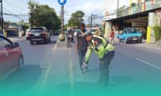 Scoopy Ditabrak Truk Box di Banyuwangi, Lansia Penumpang Motor Tewas di TKP