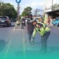 Gambar Scoopy Ditabrak Truk Box di Banyuwangi, Lansia Penumpang Motor Tewas di TKP (Sumber: Istimewa)