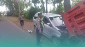 Gambar Xenia Terguling di Ladang Cabai Usai Hantam Drainase di Kalibaru Banyuwangi (Sumber: Istimewa)