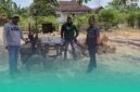 Gambar 16 Batang Jati Tanpa Dokumen Ditemukan di Pekarangan Kosong Sumberasri (Sumber: Istimewa)