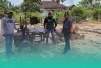Gambar 16 Batang Jati Tanpa Dokumen Ditemukan di Pekarangan Kosong Sumberasri (Sumber: Istimewa)