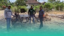 Gambar 16 Batang Jati Tanpa Dokumen Ditemukan di Pekarangan Kosong Sumberasri (Sumber: Istimewa)