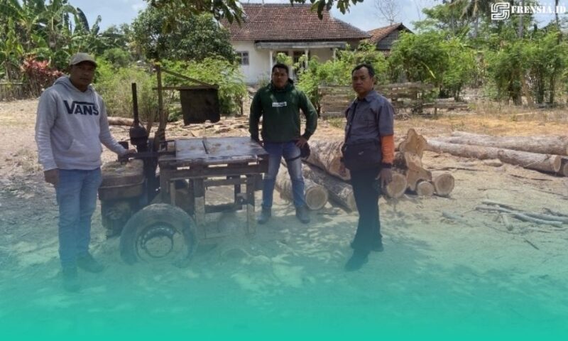 Gambar 16 Batang Jati Tanpa Dokumen Ditemukan di Pekarangan Kosong Sumberasri (Sumber: Istimewa)