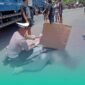 Gambar Dua Pelajar terlibat Kecelakaan Motor Vs Dump Truk di Singojuruh, 1 Tewas (Sumber: Istimewa)
