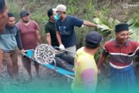 Korban saat dievakuasi warga setempat, setelah tertemper Kereta Api (KA) Wijaya Kusuma di wilayah Dusun Karang Kebun, Desa Sumber Lesung, Kecamatan Ledokombo (Foto: Istimewa). 