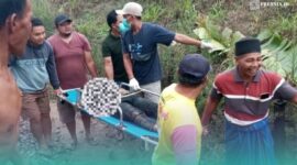 Korban saat dievakuasi warga setempat, setelah tertemper Kereta Api (KA) Wijaya Kusuma di wilayah Dusun Karang Kebun, Desa Sumber Lesung, Kecamatan Ledokombo (Foto: Istimewa). 
