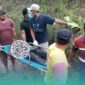 Korban saat dievakuasi warga setempat, setelah tertemper Kereta Api (KA) Wijaya Kusuma di wilayah Dusun Karang Kebun, Desa Sumber Lesung, Kecamatan Ledokombo (Foto: Istimewa). 