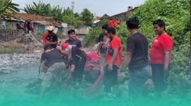 Gambar Hari Sumpah Pemuda 2026, DPC PDI Perjuangan Banyuwangi Gelar Aksi Peduli Lingkungan, Resik Kali Sungai Kalimati Muncar (Sumber: Istimewa)