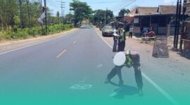 Gambar Truk Bermuatan Karton Tabrak Scoopy di Wongsorejo Banyuwangi, Pemotor Meninggal (Sumber: Istimewa)